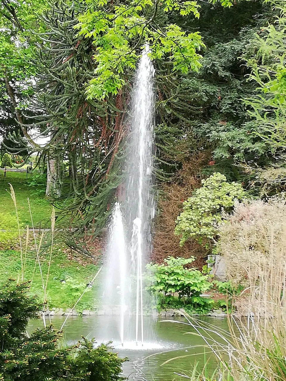Springbrunnen im Kurpark Badenweiler